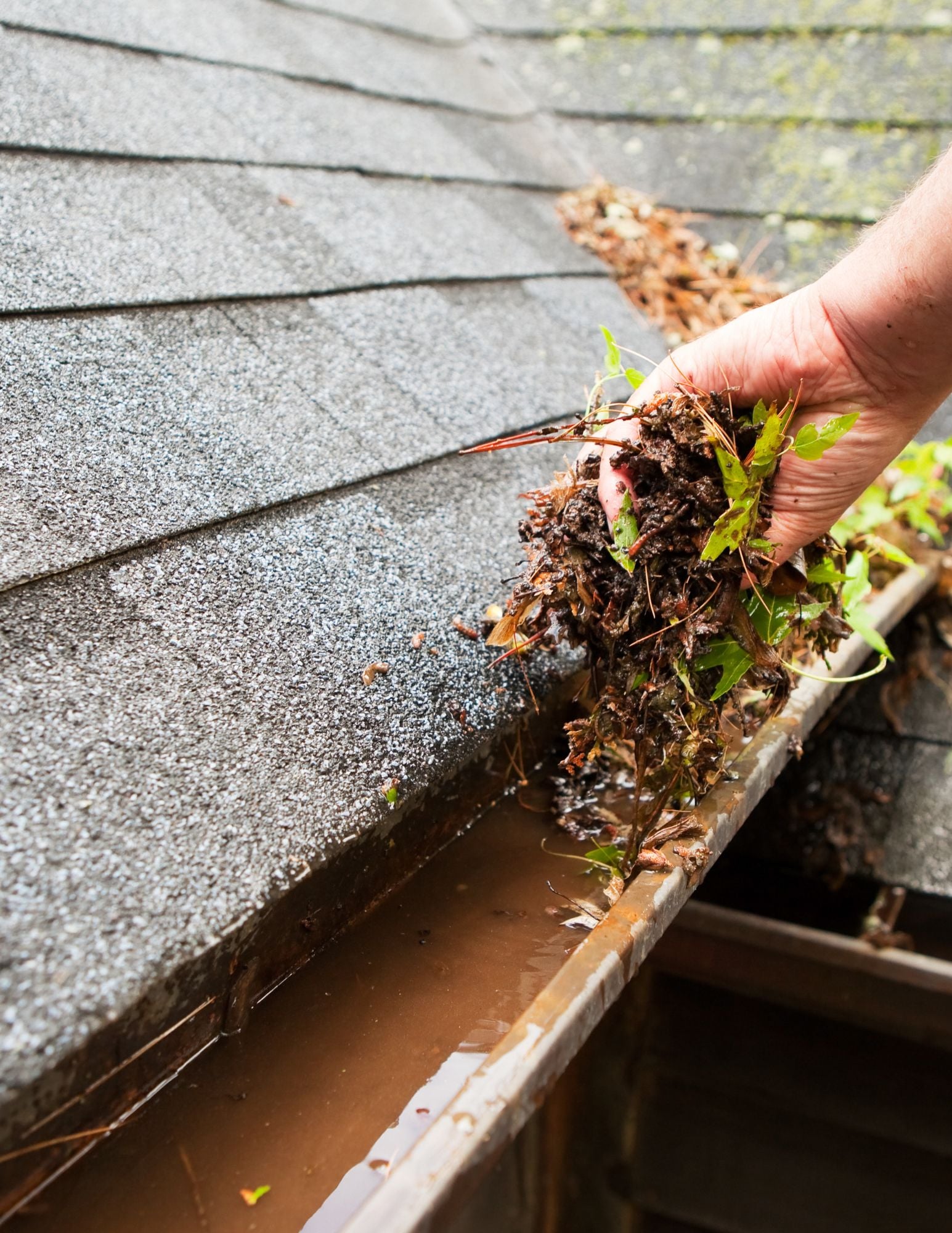 Why Cincinnati Homeowners Choose Us gutter