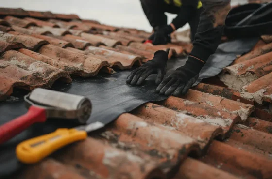 Where Can I Find Roofing Repair in Fayetteville, OH?