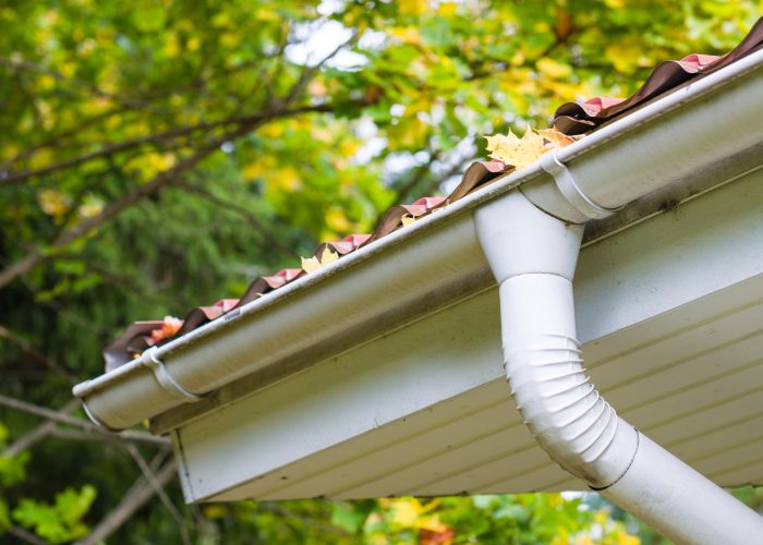 Gutter & Downspout Coordination