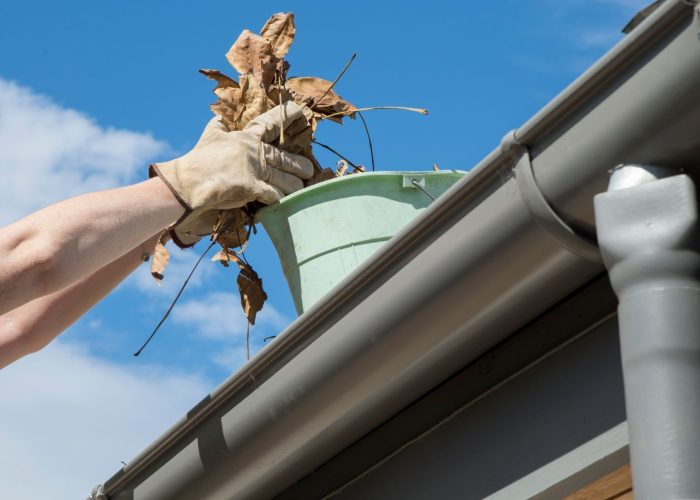 Gutters & Siding