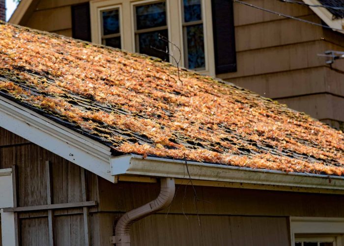 autumn-leaves-on-shingled-roof-with-rain-gutters.jpg
