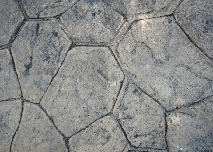 hansel-gonzalez-zoLBzThs4cE-unsplash (1)